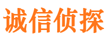 普定市私家调查